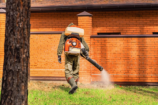 Trusted Cockroach Control service in Chelsea, AL - Nex Pest Control